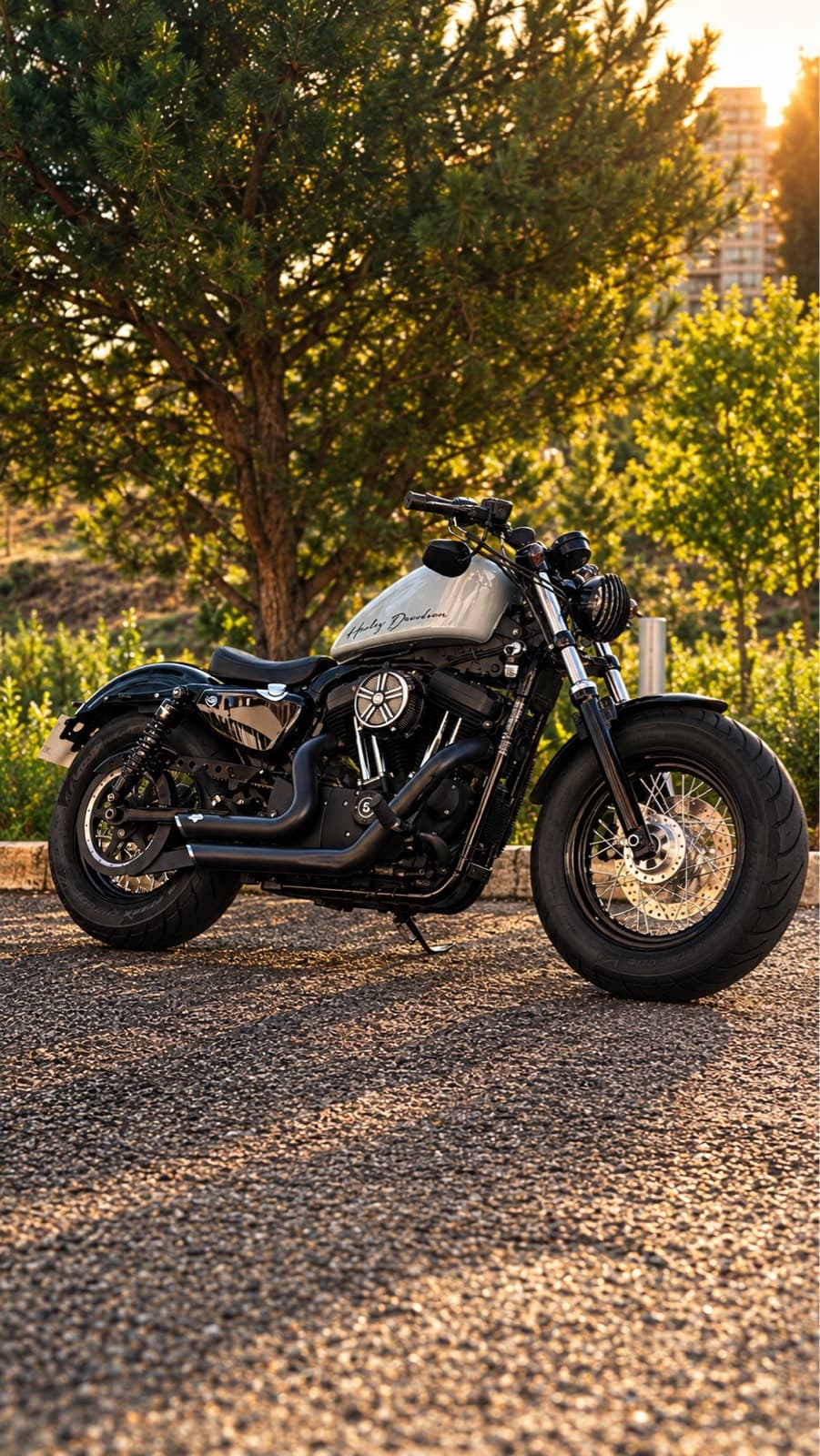 Harley-Davidson Harley-Davidson Sportster Iron 1200 2019