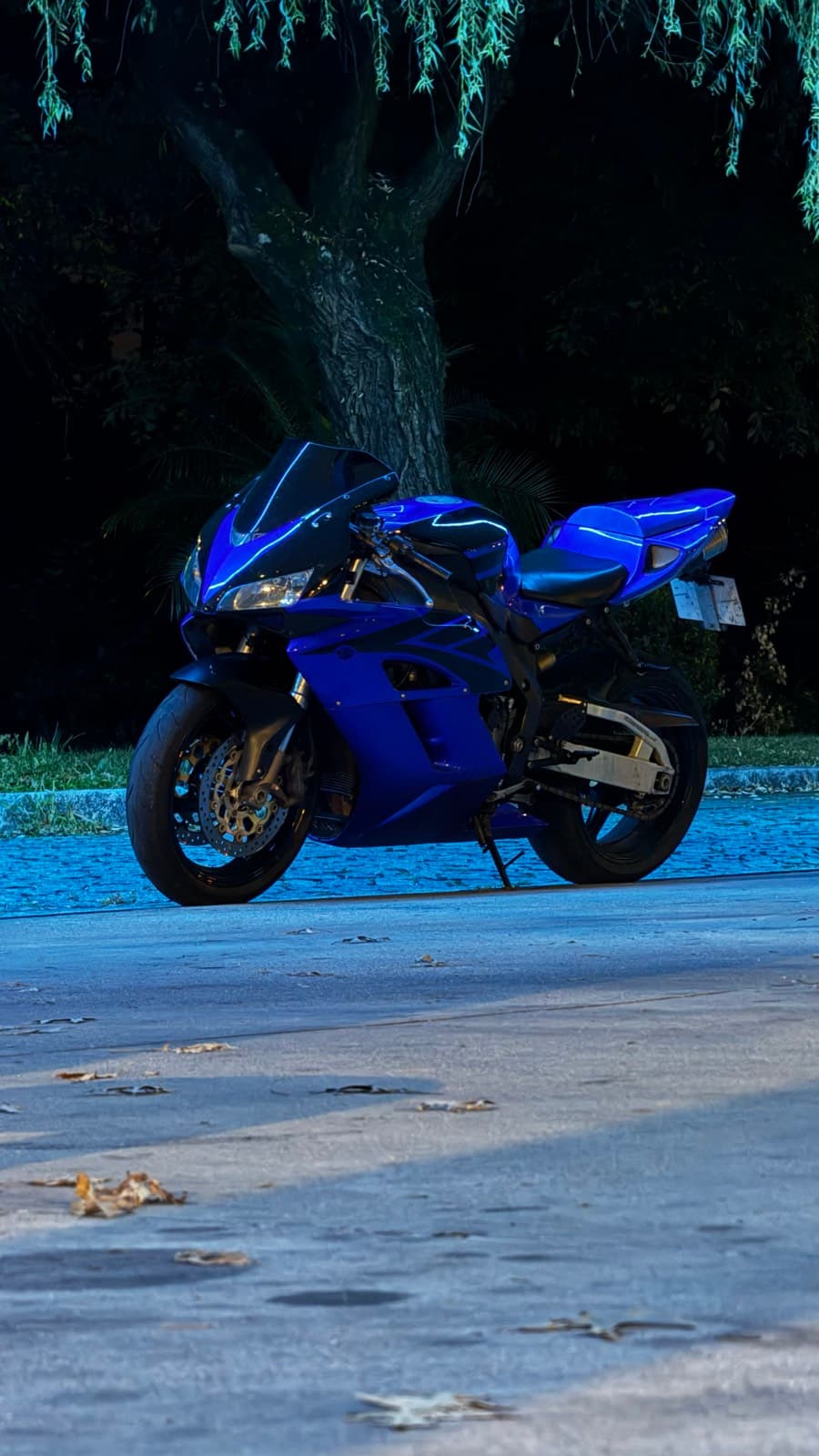 Honda CBR1000RR Fireblade 2005