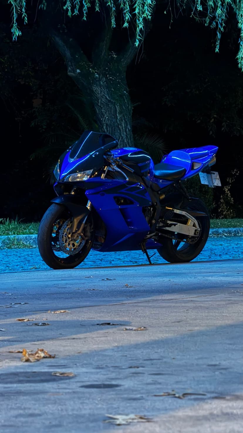 Honda CBR1000RR Fireblade 2005